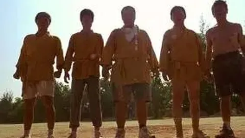 本泽马有望重返皇家马德里阵营。